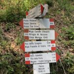 Motivare al cambiamento